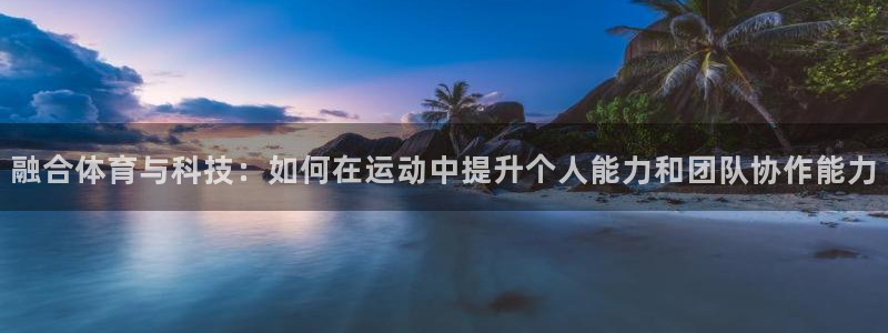 3377体育官网入口网页版