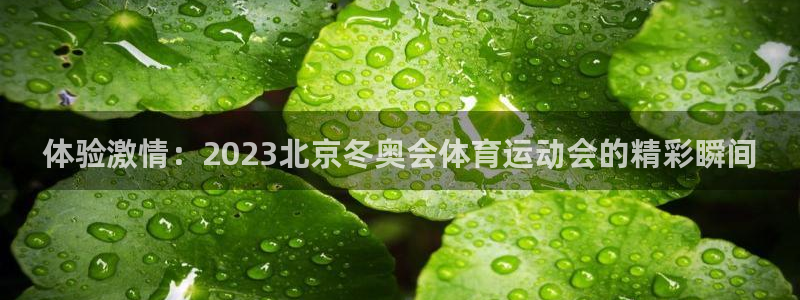 3377体育app登录入口