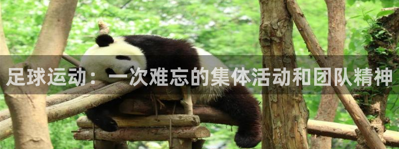 3377体育官网入口下载最新