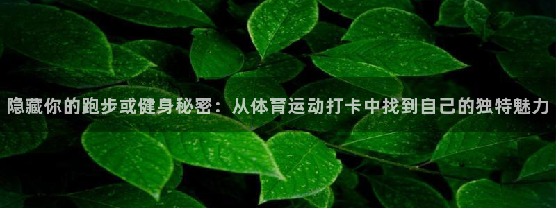 3377体育是正规平台吗