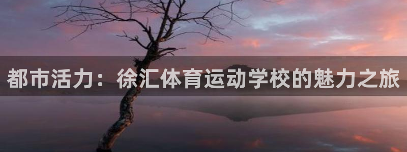 3377体育官网下载