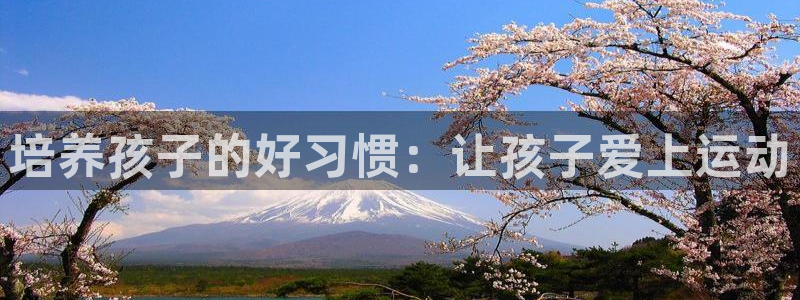 3377体育