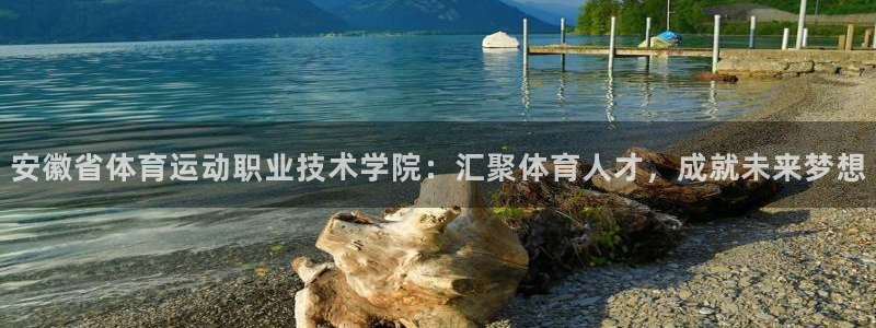 3377体育官网入口网页版
