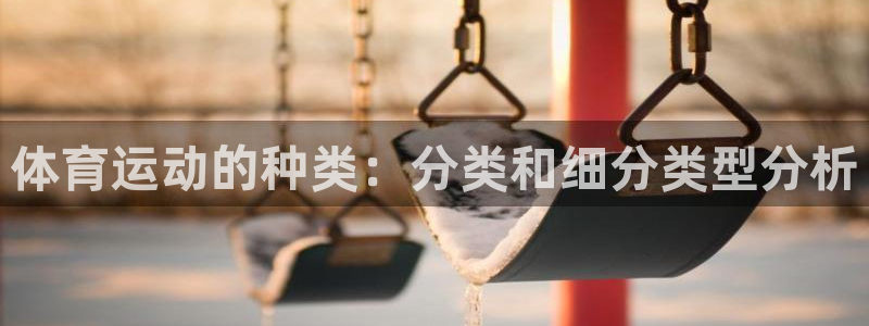 3377体育官网