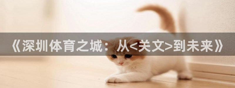3377体育全网