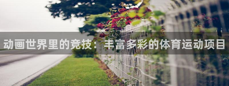 3377体育网页登录入口