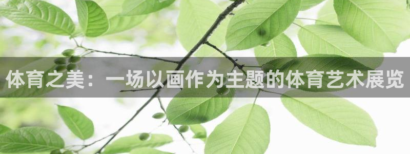3377体育网页登录入口