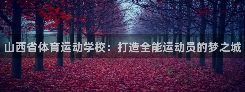 3377体育官网