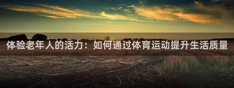3377体育是正规平台吗