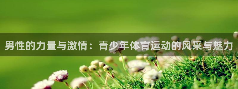 3377体育com