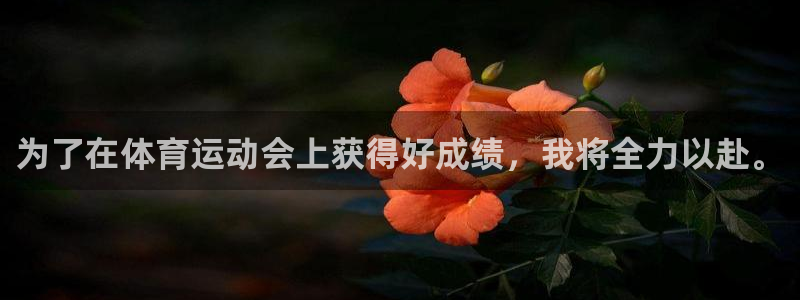 3377体育官网入口下载最新
