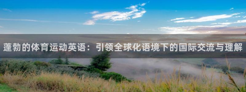 3377体育全网