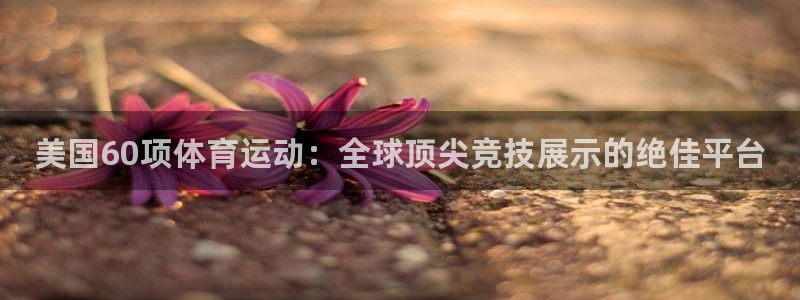 3377体育全网