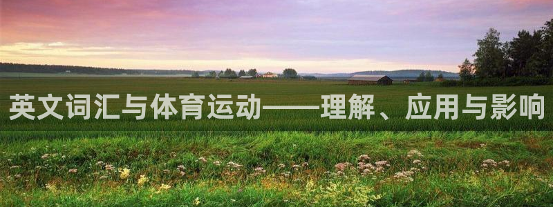 3377体育网页登录入口