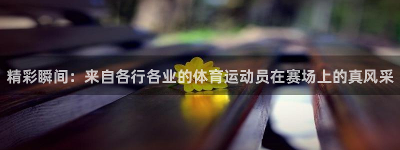 3377体育官网入口下载最新